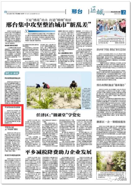 用影片妙解北疆文化叙事